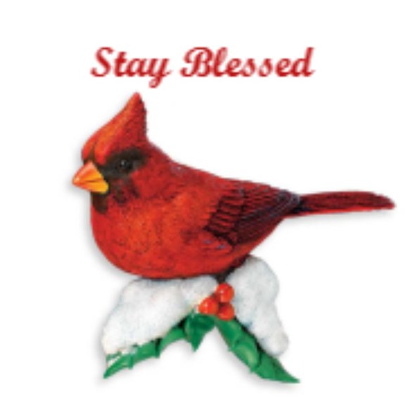 Meet your Posher, Rhonda - Picture 1 of 3